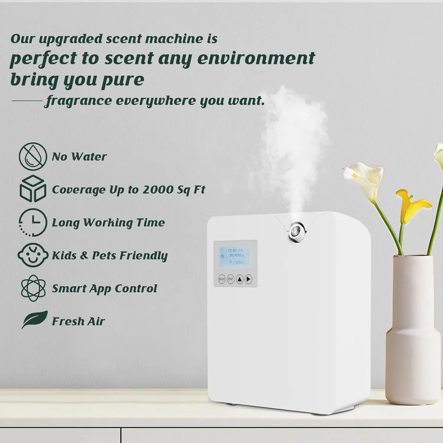Waterless Fragrance Diffuser 3 - Home Fragrance Verbena review and price