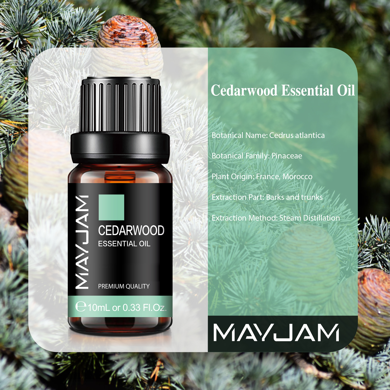 10ml Cedarwood Lemongrass Rose - Home Fragrance Lemongrass review and price